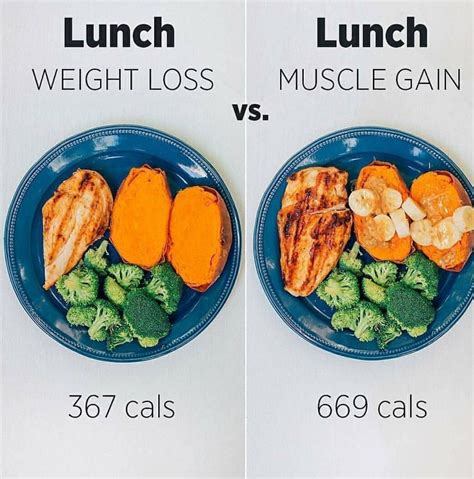 What Foods To Eat To Lose Weight And Gain Muscle
