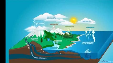Que Es El Ciclo Del Agua Sus 7 Fases Esquema Y Explicacion Images