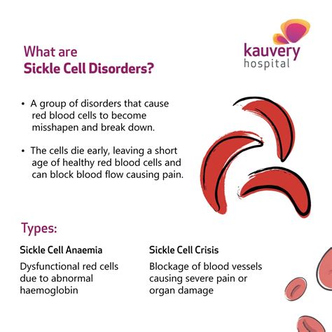 Sickle Cell Disease An Overview Hot Sex Picture