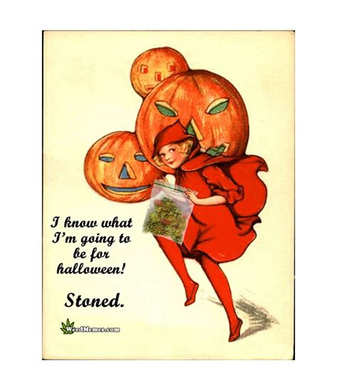 Stoned For Halloween Red Riding Hood Weed Memes Weed Memes