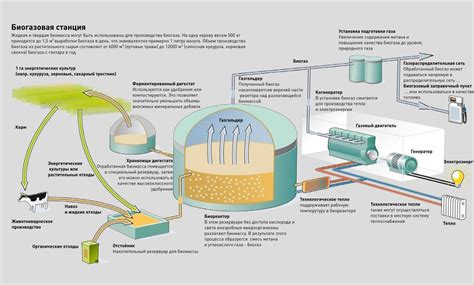 Биогазовые технологии — новый тренд экономики замкнутого цикла