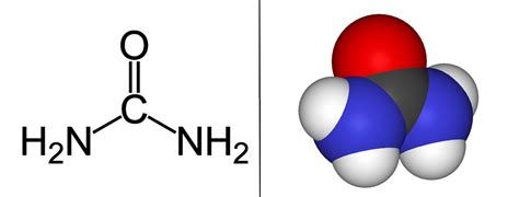 Uranium lead dating definition relationship. Biology Dictionary U-Z