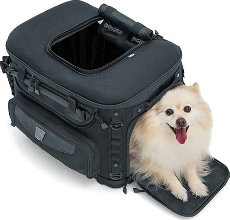 Obviously top of the list has to be safety considerations if you expect to reach your destination safely. Kuryakyn 5288 Grand Pet Palace Portable Weather Resistant ...