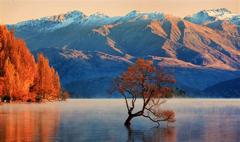 Kui veedate aega bing funil, võite kohata treenimisega seotud viktoriini. New Zealand country guide | Australia & Pacific - Lonely ...