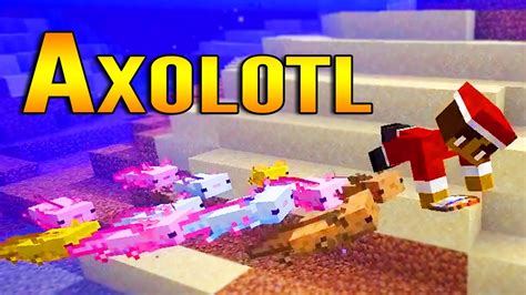 Swimming With Axolotl In Minecraft 117 Cave Update Minecraft 117