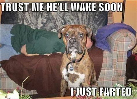 51 Funny Fart Meme Images Jokes S Photos And Pictures Picsmine