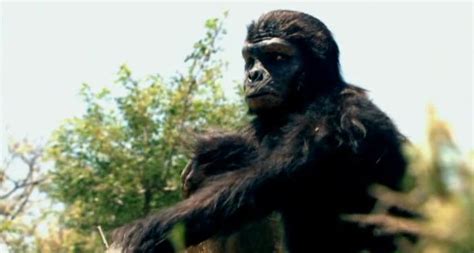 Australopithecus Afarensis Documentary Ape To Man Apes Animals