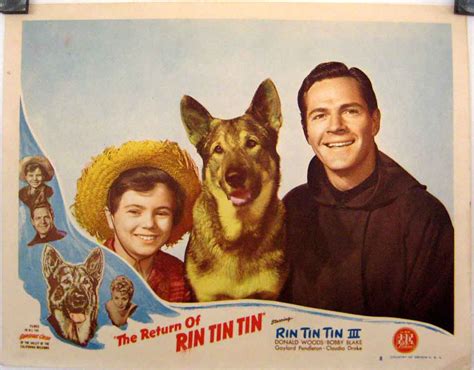 Rin Tin Tin Movie Poster Rin Tin Tin Movie Poster