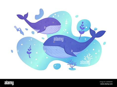 Two Whales In The Sea Ocean Fish Underwater Marine Wild Life Vector