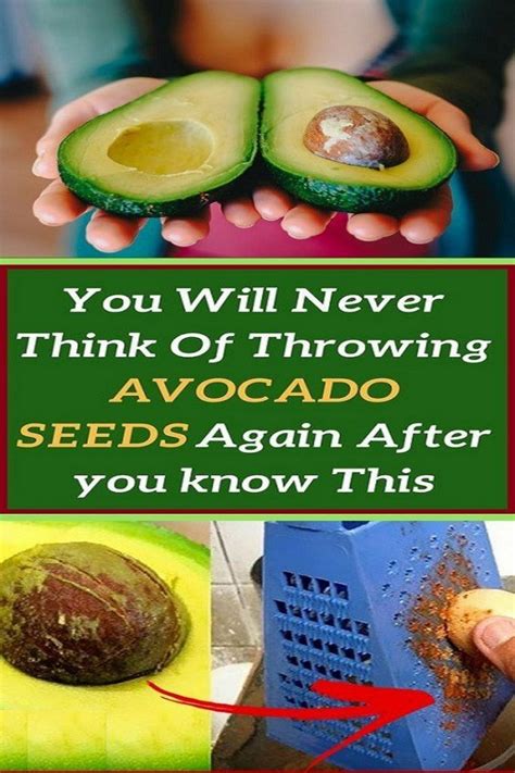 You Will Never Think Of Throwing Avocado Seeds Again After You Know