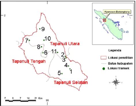 Struktur Dan Komposisi Pohon Di Habitat Orangutan Liar Pongo Abelii