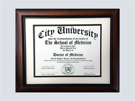Diploma Doctor Of Medicine A 1 Medical Integration