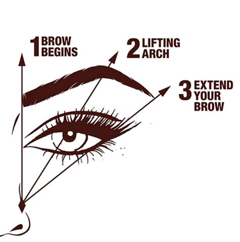 Step By Step Brow Mapping Diagram World Map