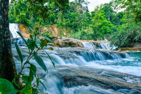 Agua Azul And Misol Ha Waterfalls Azure Cascades In Chiapas Mexico