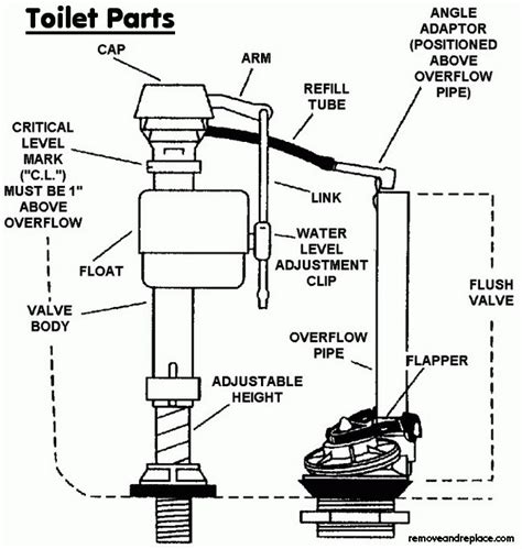 How To Fix A Toilet That Is Constantly Running Diy Toilet Repair Step