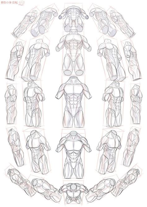 Pin By Distant Screaming On Anatomy And Art Drawings Art Body