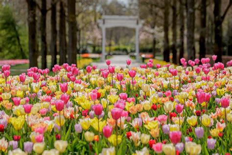 See The Tulips Bloom In The Netherlands Keukenhof Gardens Online Travel Leisure
