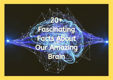 20 Fascinating Facts About Our Amazing Brain — Lighter Brighter You