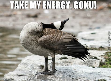 Spirit Goose By Kinokiro Meme Center