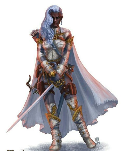 Female Paladin Pathfinder Pfrpg Dnd Dandd D20 Fantasy Female Character