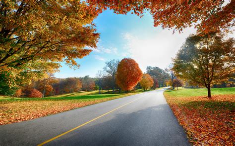 Autumn Road Nature Scenery Wallpaper 2560x1600 29072