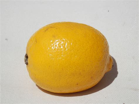 Lemon Fruit Citrus Free Photo On Pixabay Pixabay