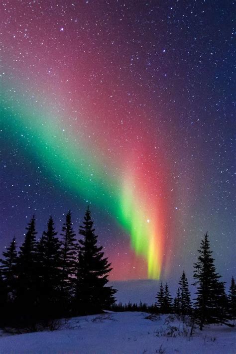 Northern Lights A Miracle Of Nature Churchill Manitoba Canada The
