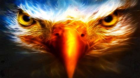 Fire Eagle Wallpapers Wallpaper Cave