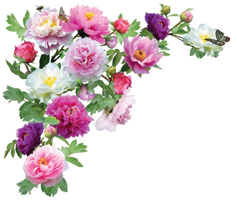 Flower Clipart Png Transparent Background Free Download 17937