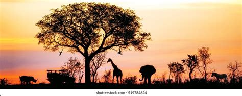 44316 African Safari Sunset Images Stock Photos And Vectors Shutterstock