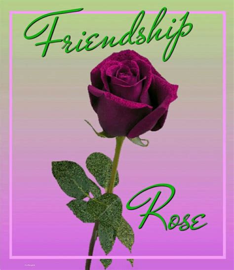 Friendship Rose 🌹 Friendship Rose Thankful Special Quotes Flowers