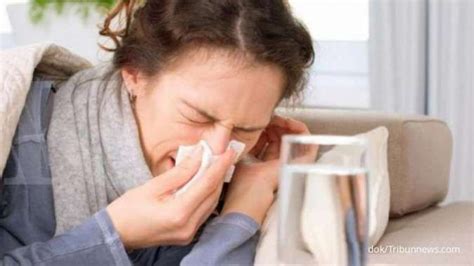6 Cara Menyembuhkan Flu Secara Alami Efektif Dan Ampuh Meredakan Pilek
