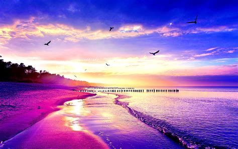 Cool Beach Wallpapers Top Free Cool Beach Backgrounds Wallpaperaccess