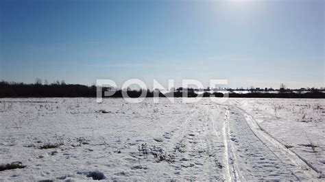 Winter, sun and nature Stock Footage #AD ,#sun#Winter#nature#Footage | Winter nature, Nature hd ...