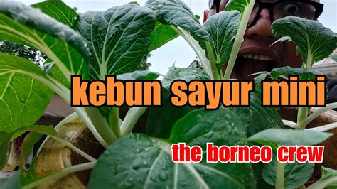 Get the forecast for today, tonight & tomorrow's weather for kebun sayur, north sumatra, indonesia. kebun sayur mini super subur - YouTube