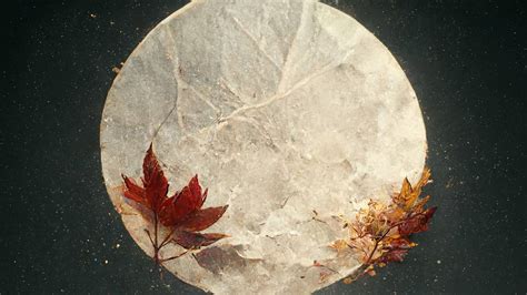 Tips For Planning An Autumn Equinox Celebration Ritual Or Party