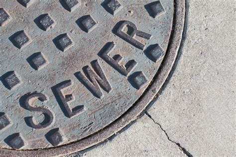10 Signs Your Sewer Is Blocked And What To Do