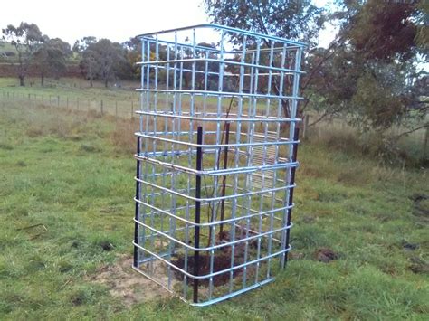 What fruit tree should you plant? Pin on Tree guards