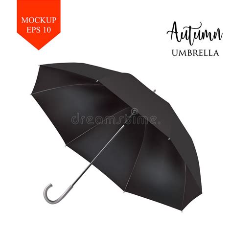 Download Vector Classic White Round Rain Umbrella Side View ...
