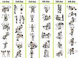 Bodybuilding Program Exercise