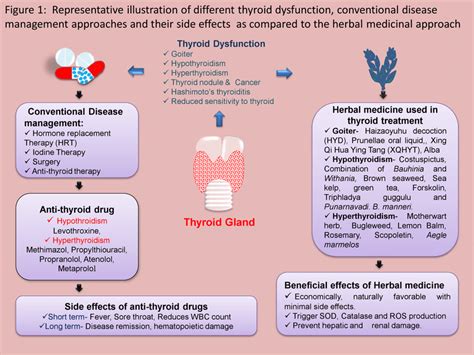 Representative Illustration Of Different Thyroid Dysfunction