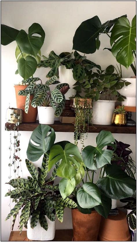 The legs can be made of anything that strong enough to hold up the marble. 158 DIY Plant Stand ideas to Fill Your Living Room With ...