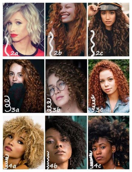Top 48 Image Different Types Of Curly Hair Vn