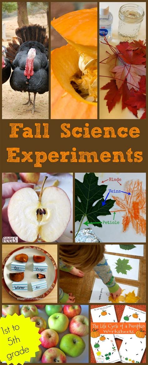 Respect worksheets for the 3rd, 4th and 5th grade classroom. Fall Science Experiments | Creekside Learning | Fall ...