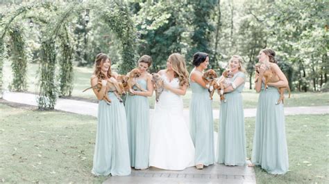 Bridal Party Carried Adoptable Puppies Instead Of Bouquets Mashable