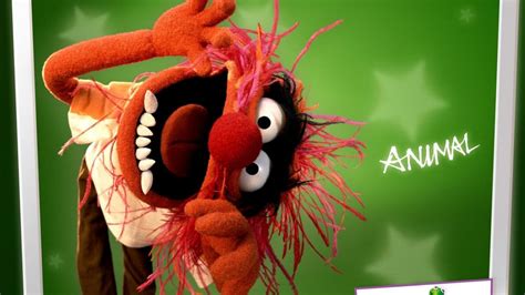 Animal Muppets Wallpapers Wallpaper Cave