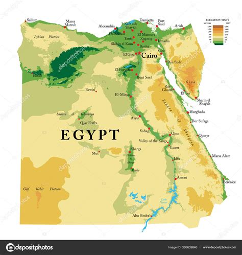 Egypt Highly Detailed Physical Map Vector Format All Relief Forms Stock
