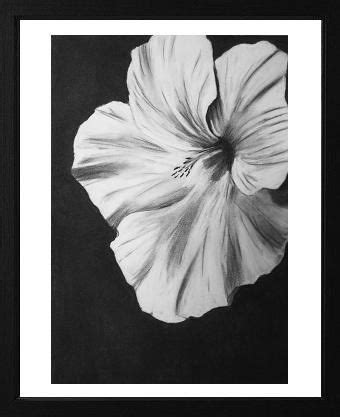 Drawing in charcoal is very different than drawing in graphite, and to succeed at using charcoal, it is will to take time and practice. charcoal flower drawings - Google Search | Flower drawing ...