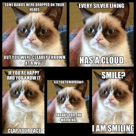 Grumpy Cat No Meme With Images Grumpy Cat Humor