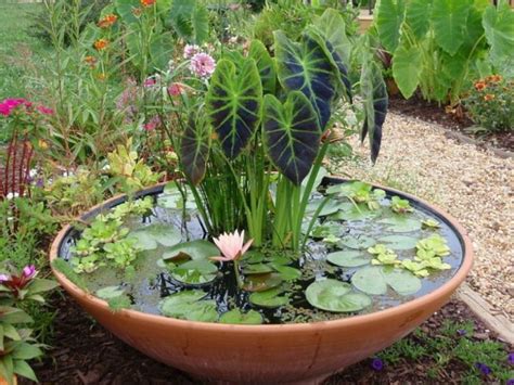 14 Garden Water Feature Ideas For A Calm Natural Environment